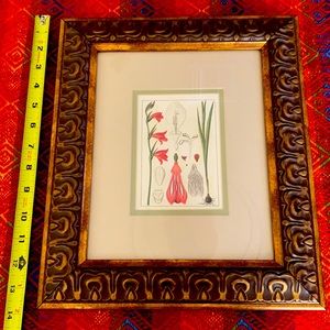Framed botanical print